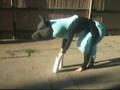 Wolf Link Quad Suit - Progress 1