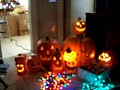 Singing pumkins- Bach