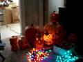 Singing pumkins- Bach