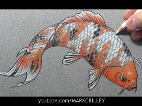 Drawing Time Lapse: