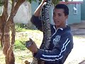 Alexon and you snake3