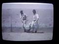 Canto da Siriema (Filme Não Aperta Aparício)
