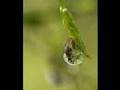 Assistir ao v�deo