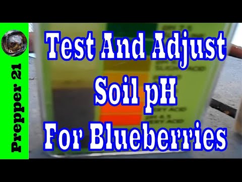 how to adjust ph in soil