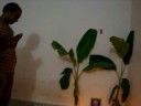 bahubali laxmi pooja