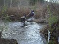 Good Ol Spurty is Ponying Acacia through the water for the first time.