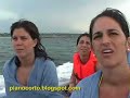 video 4 punta cana periodismo