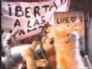 LLama que Llama ´98