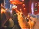 LLama que Llama ´98