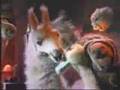 LLama que Llama ´98