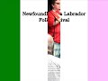 Ode to Newfoundland NLFF 2010