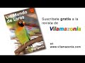 Loros Vilamazonia