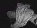 She Sank on Shallow Bank excerpt stop-motion horror dance
