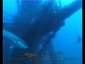HMAS Perth Dive