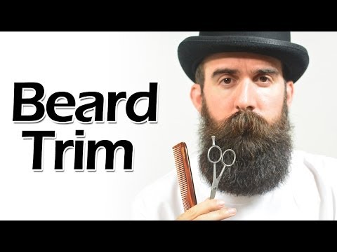 how to properly groom a beard