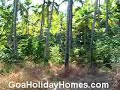 Coco Beach in Goa -- GoaHolidayHomes.com