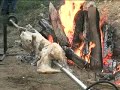 busnovi PEČENJE RAKIJE U BUSNOVIMA