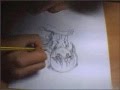 Dibujando Elfen Lied, Andrés Ramil