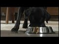 Gatorade Super Bowl Commercial - G2
