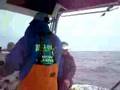 tuna in