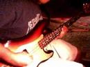 Herzeleid/ Das Alte Leid Bass cover