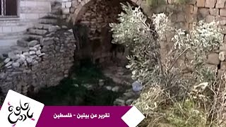 حلوة يا دنيا - تقرير عن بيتين - فلسطين حلوة يا دنيا - تقرير عن بيتين - فلسطين