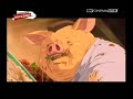 speciale-miyazaki-i-cartoni-che-ci-hanno-fatto-sognare-33.html