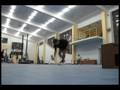 Lushai Vitalii - RFO 2008 - Open Singles Freestyle (5st)