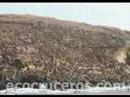 CALLAO - PERU. ISLAS PALOMINO
