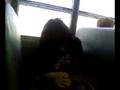 videos de Elijah on the bus...hurting himself