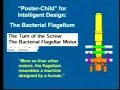 Ken Miller talks about the bacterial flagellum Ken Miller talks about the bacterial flagellum