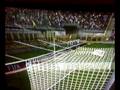 FIFA 09 Goal BORRIELLO AC MILAN !
