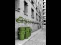 Greenmusicradio.nl