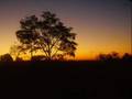 Hillsong United - The Stand (legendado)