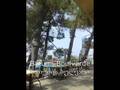 Beautiful Tbilisi (Capital City Of Georgia), Batumi and Sighnaghi. თბილისი ულამაზესი ქალაქი. 2008 Year