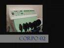 Corporelle