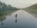 Ilya Khrjanovsky - '4' (2004) [fragment]