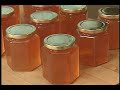 Bees in Winter Bees in Winter
