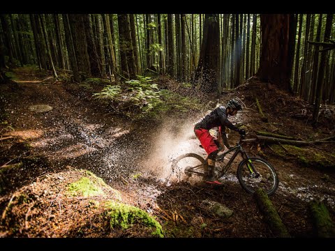 Specialized Stumpjumper FSR Comp Carbon 29