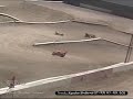 Kyosho Inferno ST-RR at Revrace Summer 2008 SoCal