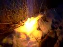Sparkler Bomb