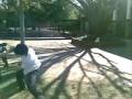 videos de School Fighter