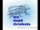 Ice Cold Crickets Opaque (thrice cover)