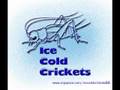 Ice Cold Crickets Opaque (thrice cover)
