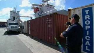 CBP VIDEO TRADE OVERVIEW