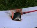 Lithium Polymer Battery Explosion 2
