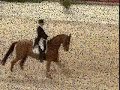 Dressage Video #1