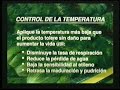 Postcosecha a pequena escala Part 2