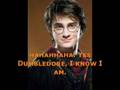 A Harry Potter Love Affair