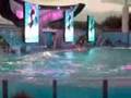 sea world... eu